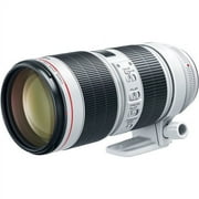 Canon EF 70-200mm F/2.8L IS III USM LensInternational Model