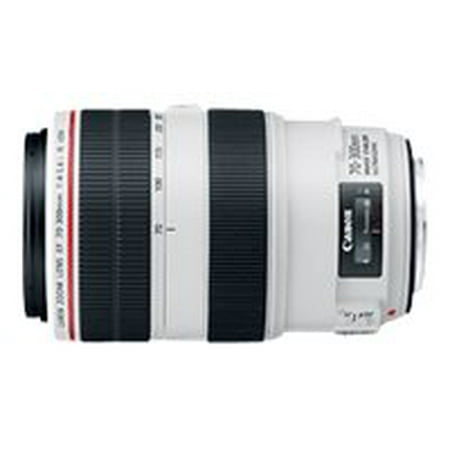 Canon - EF 70–300mm f/4–5.6L IS USM Telephoto Zoom Lens - White