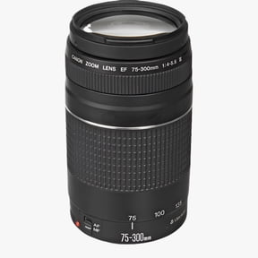 Canon EF 75-300mm f/4-5.6 III Telephoto Zoom Lens for DSLR Cameras International Model (No Manufacturer Warranty)