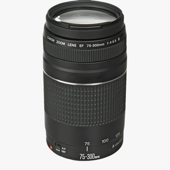Canon EF 75-300mm f/4-5.6 III Telephoto Zoom Lens for DSLR Cameras (No Manufacturer Warranty)