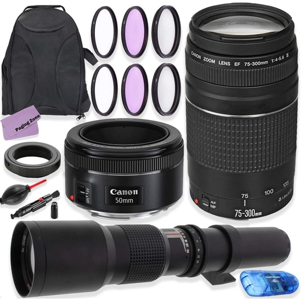 Canon EF 75-300mm f/4-5.6 III Lens & Canon EF 50mm f/1.8 STM Lens 