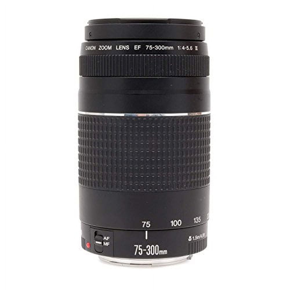 Canon EF III f/4-5.6 Telephoto 75-300mm Zoom Lens