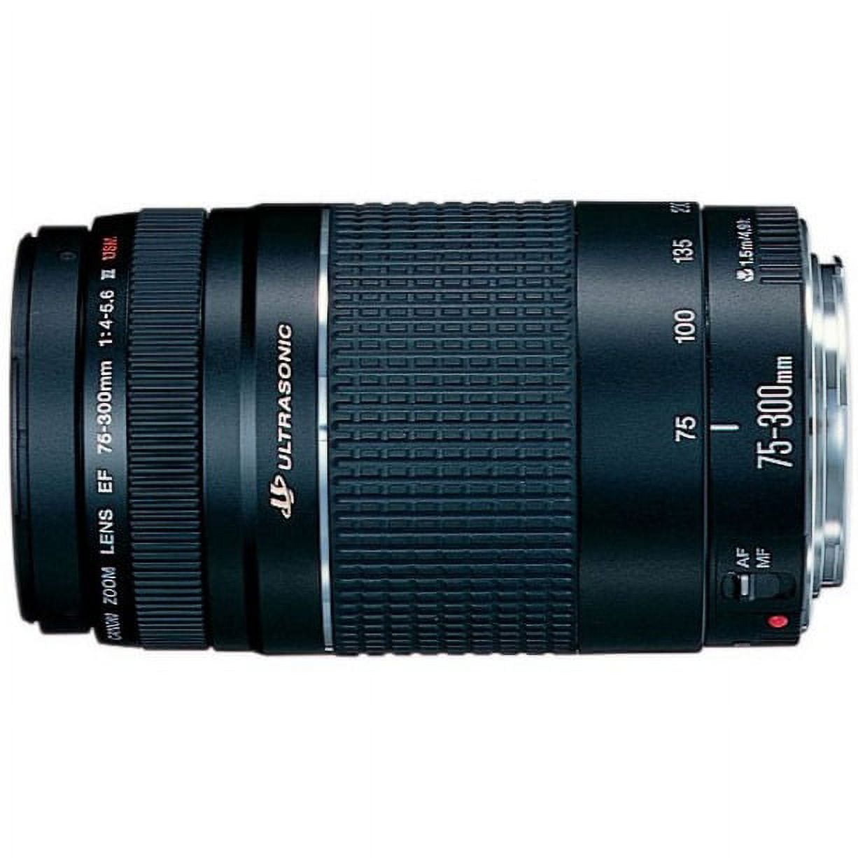 Canon EF 75-300mm 1:4-5:6 IS ズームレンズ 【公式通販】