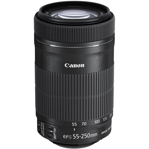 Canon EF-S 55-250mm f/4-5.6 IS STM Telephoto Zoom Lens with 