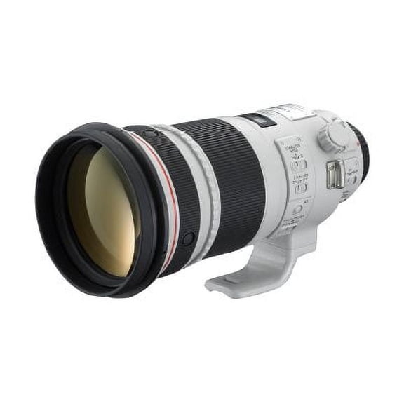 Canon EF - Telephoto lens - 300 mm - f/2.8 L IS II USM - Canon EF