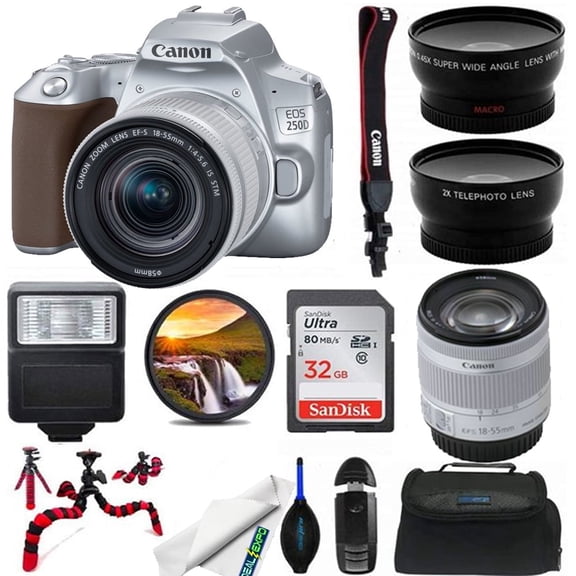 Canon EOS 250D Touchscreen 24.1 MP APS-C CMOS Sensor DSLR Camera Kit with Canon EF-S 18-55mm f/4-5.6 IS STM Lens, Silver, 1