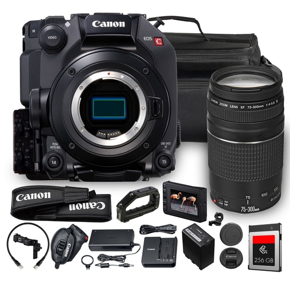 Canon EOS 5DS DSLR Camera Bundle with 64GB Card and EF-EOS R Adapter (0581C002)