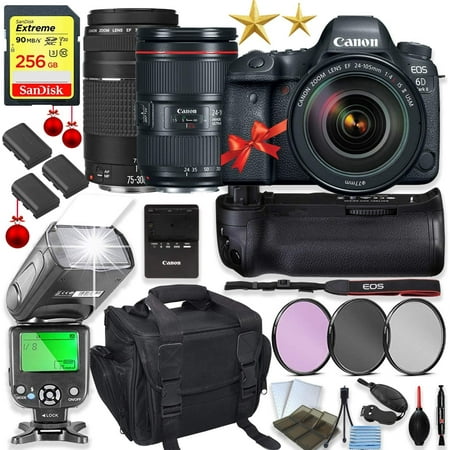 Canon EOS 6D Mark II DSLR Camera with 24-105mm f/4L II Lens Kit + Canon 75-300 III Lens + 256GB Sandisk Memory, TTL Speedlight Flash (Good Upto 180 Ft), Power Grip + Holiday Special Bundle