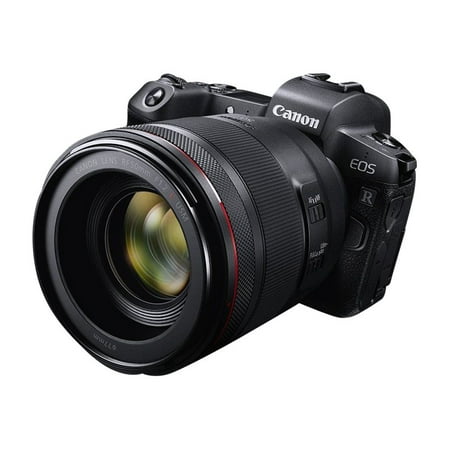 Canon - EOS R Mirrorless 4K Video Camera with RF 24-105mm f/4-7.1 IS STM Lens - Black