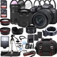 thumbnail image 1 of Canon EOS R10 Mirrorless Digital Camera with RF 24-105mm f/4-7.1 STM Lens + 75-300mm F/4-5.6 III Lens + 50mm f/1.8 STM Lens + 128GB Memory + Case + Tripod + Filters 43pc Bundle (International Version), 1 of 1