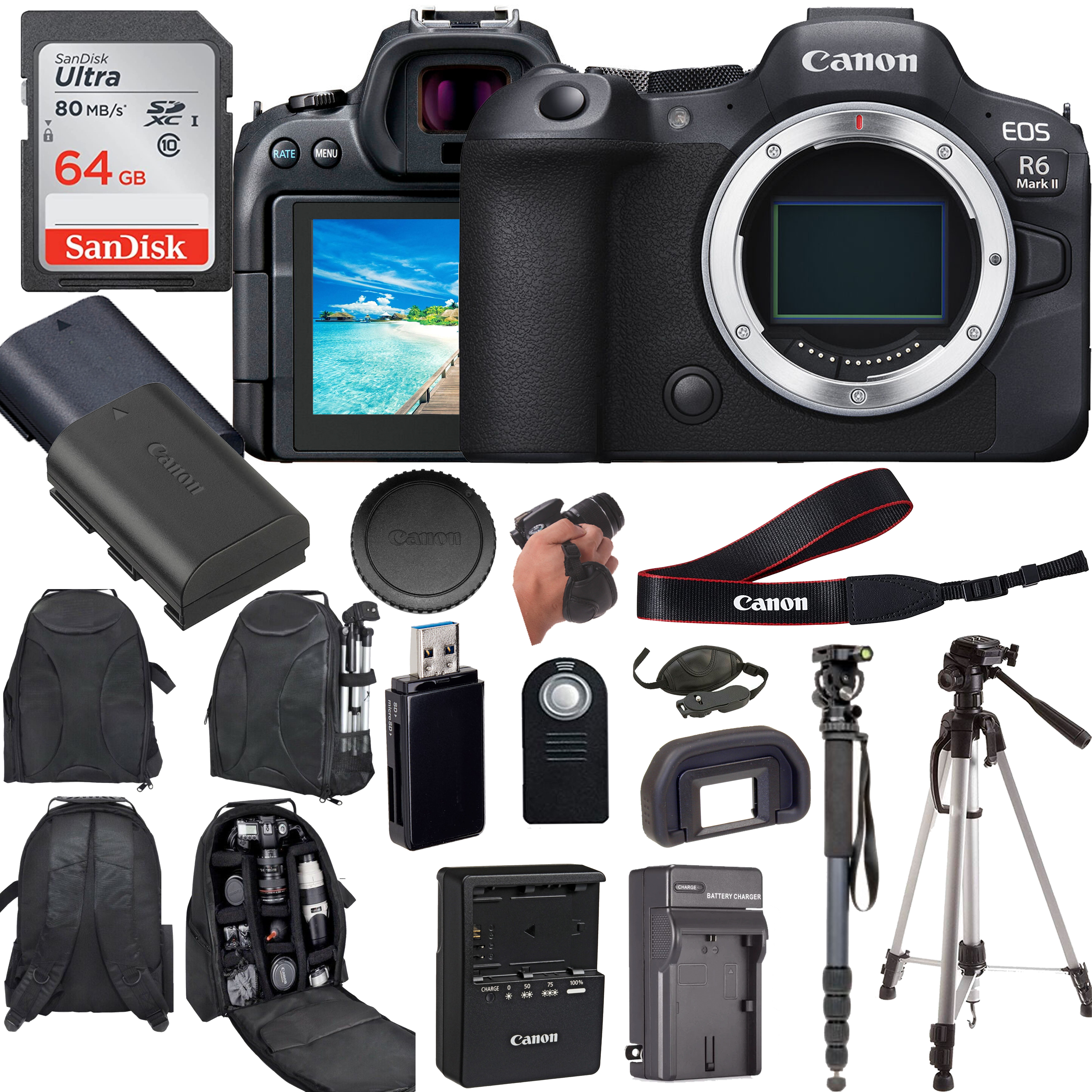 Canon EOS R6 Mark II 本体とアクセサリーセット Canon EOS R6 Mark II, 24.2MP Mirrorless Camera with Digital