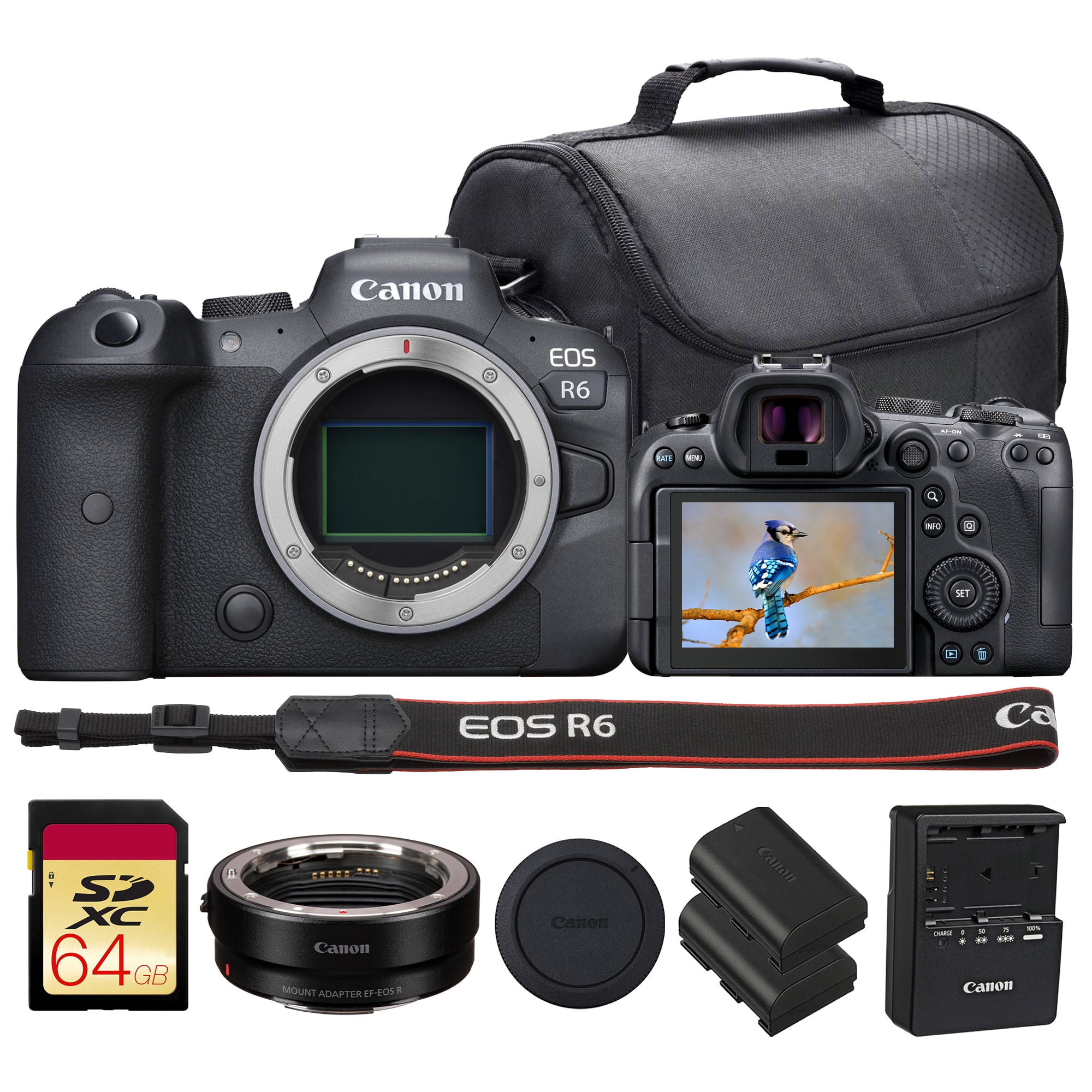 Canon EOS R6 Mirrorless Camera | 20MP Full-Frame Sensor, 4K Video, In ...