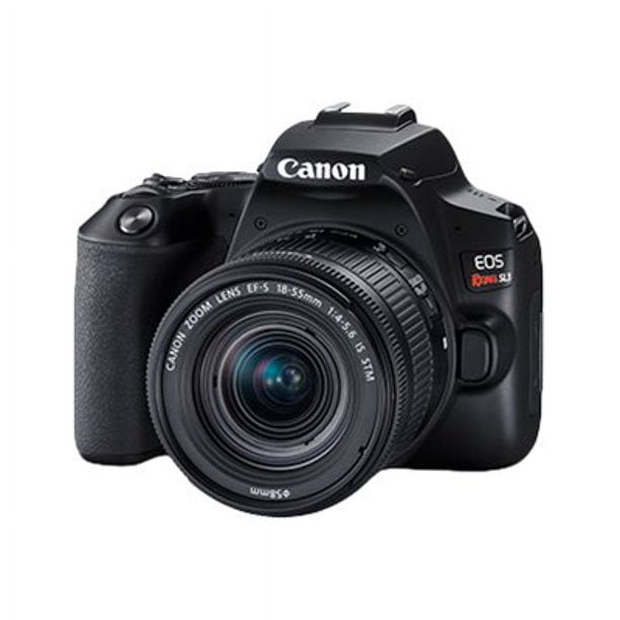 Canon EOS Rebel SL3 - Digital camera - SLR - 24.1 MP - APS-C - 4K / 24 fps - 3x optical zoom EF-S 18-55mm IS STM lens - Wi-Fi, Bluetooth - black - image 1 of 2