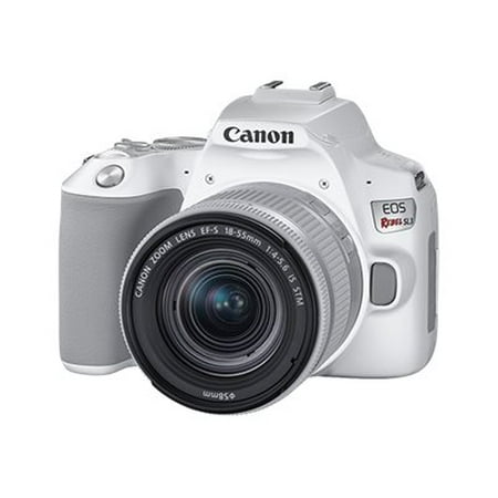 Canon - EOS R Mirrorless 4K Video Camera with RF 24-105mm f/4L IS USM Lens