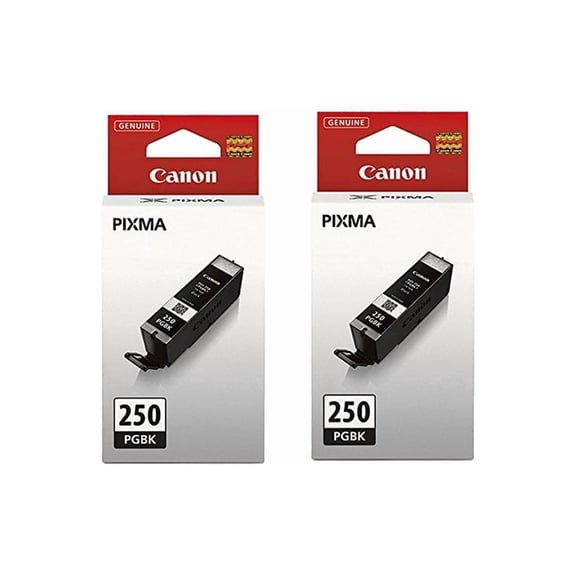 Genuine Canon PGI-250BK (2) pack