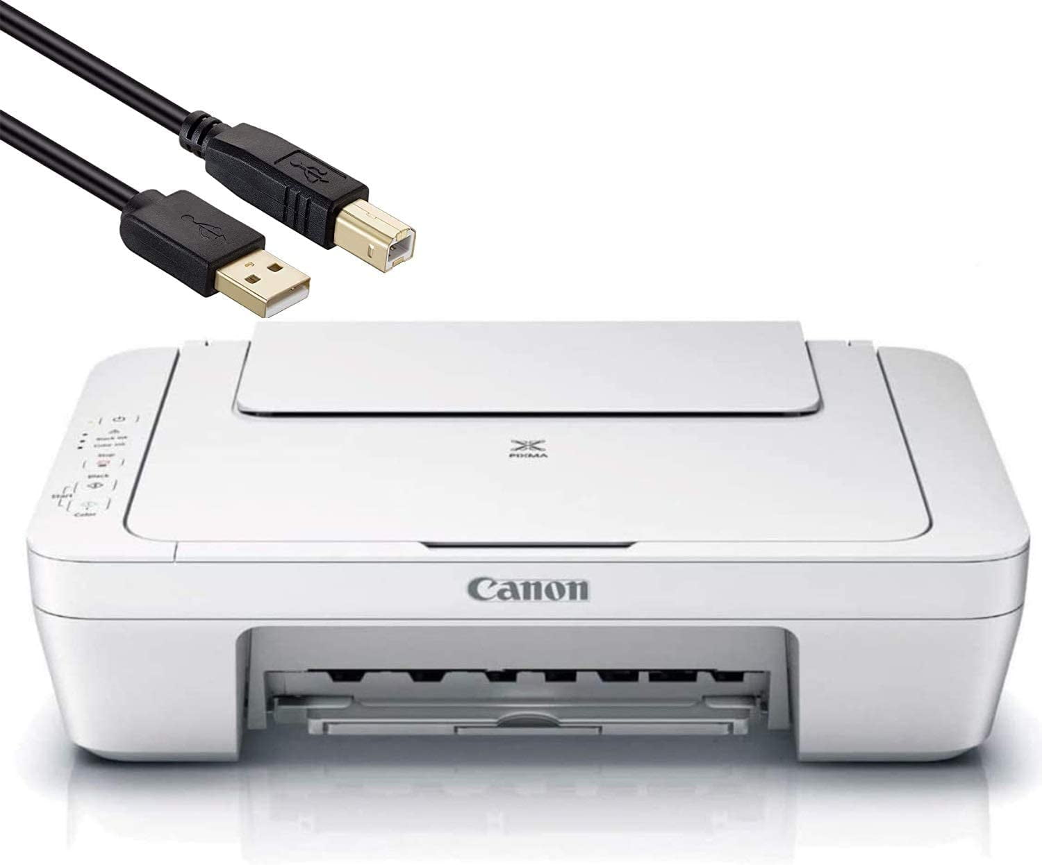 Canon pixma cheap mg2522 reviews