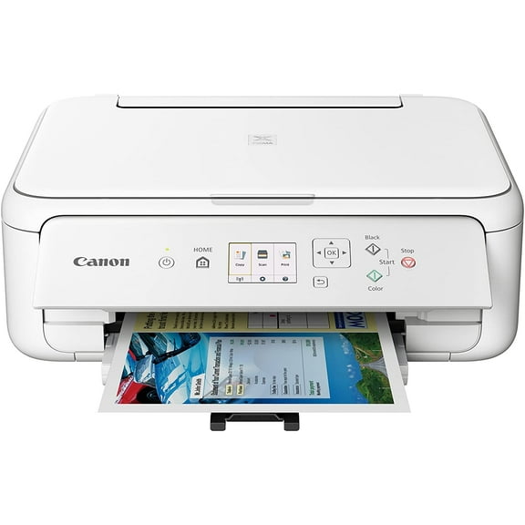 Canon PIXMA TS5120 White Wireless Inkjet All-In-One Printer