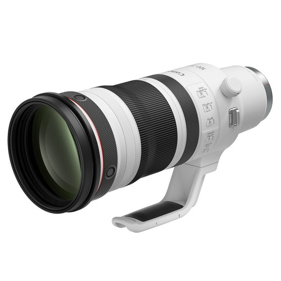 Canon RF 100-300mm f/2.8 L IS USM Lens