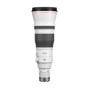 Canon RF 600mm f/4L IS USM Super Telephoto Prime Lens for EOS R Cameras
