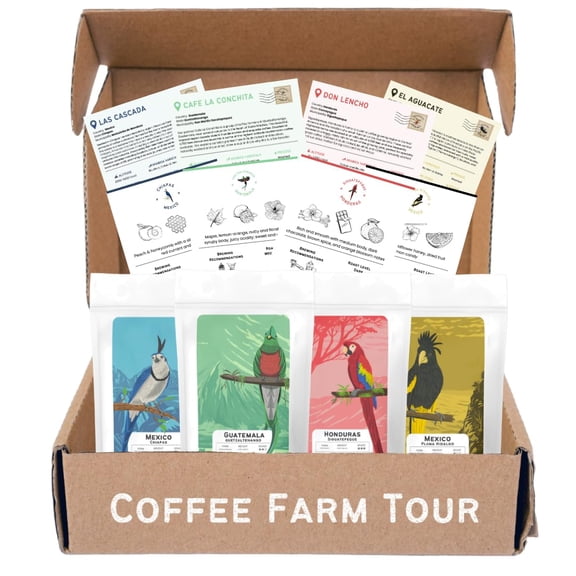 Canopy Point Coffee Sample Pack | Ground | 4-Pack Single Origin Variety Set | Gourmet Coffee Sampler Gift Box (Ground)