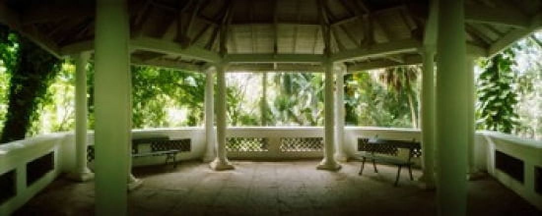 Canopy in the botanical garden Jardim Botanico Zona Sul Rio de Janeiro Brazil Canvas Art - Panoramic Images (15 x 6)