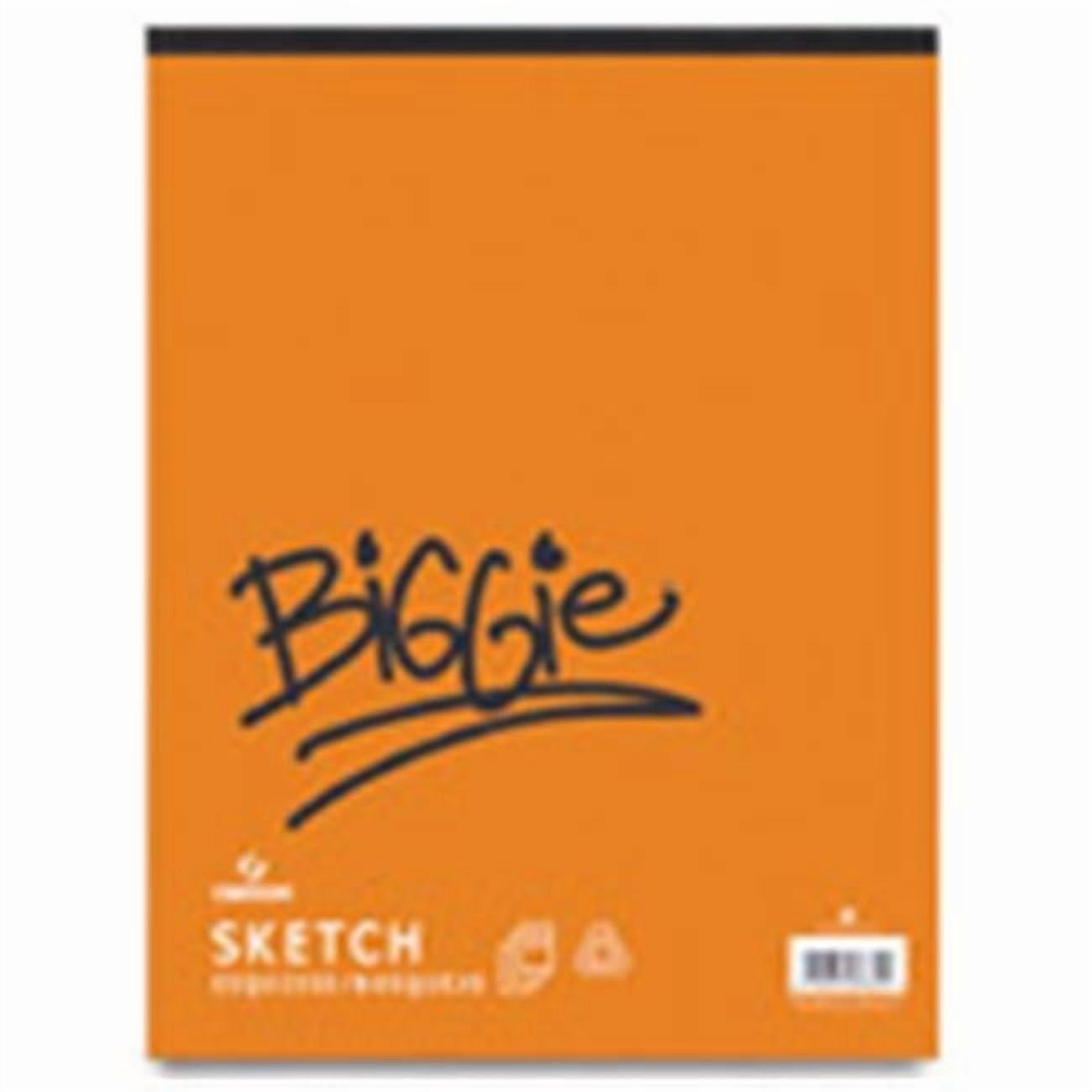 Canson  9 x 12 in. Biggie Sketch Pad - 120 Sheets