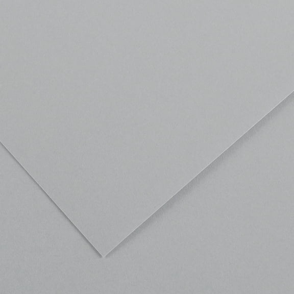 Canson Colorline Art Paper - 19" x 25", 150 gsm, Pebble Gray