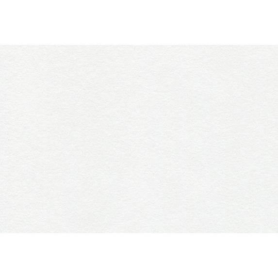 Canson Foundation Sketch Roll, 48in x 10 yds.