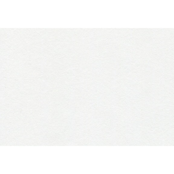 Canson Foundation Sketch Roll, 48in x 10 yds.