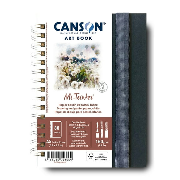 Canson Artist Series Mi-Teintes Pastel & Drawing Art Book, Fabric Cover, Side Wire Binding, 80 Sheet, 5.8x8.3 inch, 1 Count
