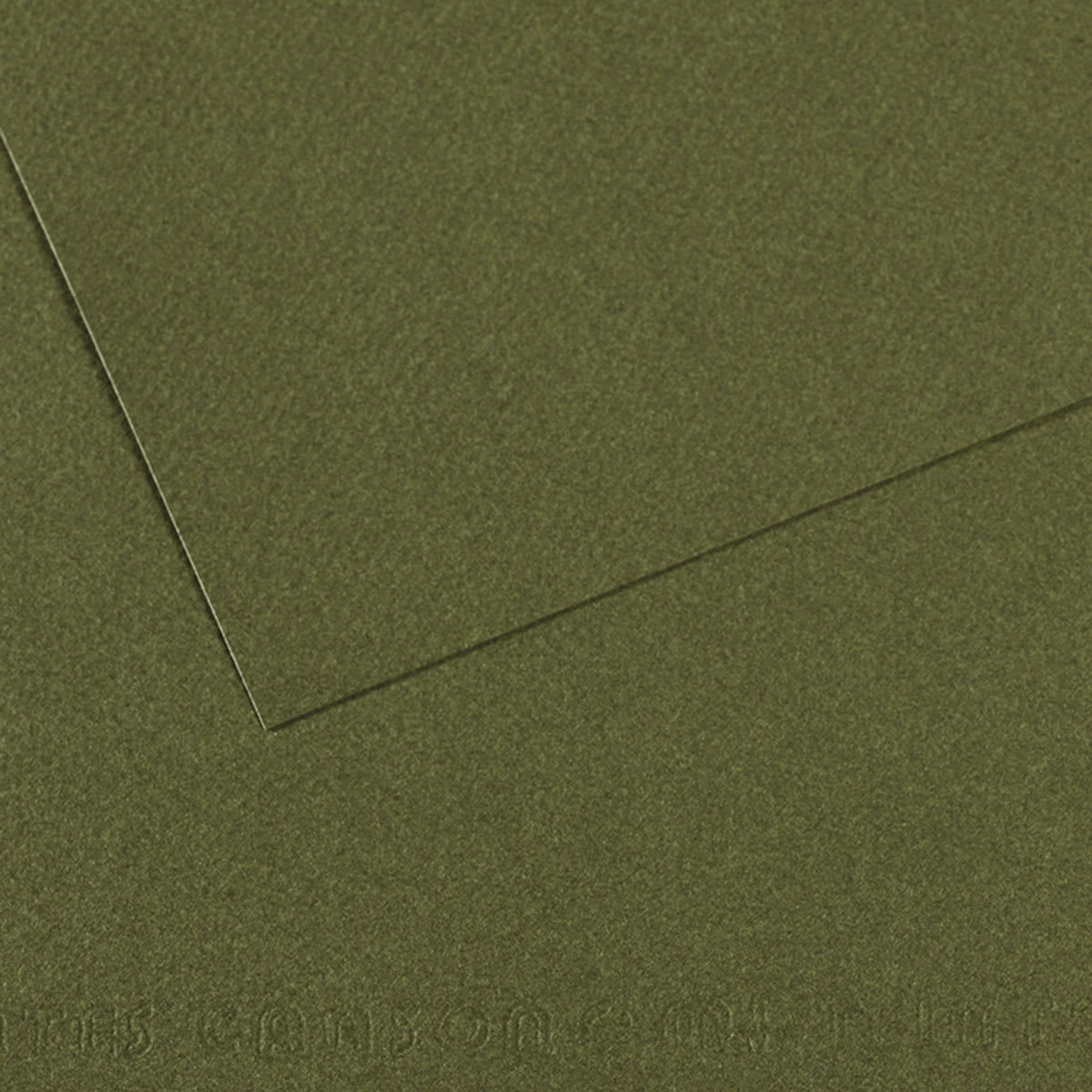 Canson Mi-Teintes Drawing Papers - 8-1/2" x 11", Ivy, 25 Sheets