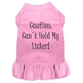 thumbnail image 1 of Dog Dress, Pet Dog  Cat Dress Screen Printed, "Can't Hold My Licker", 1 of 11