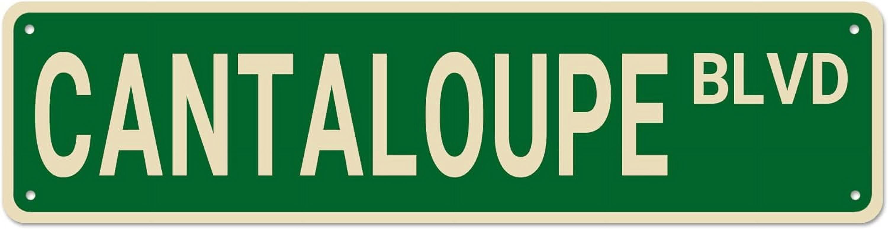 Cantaloupe BLVD Street Sign, Cantaloupe Sign Cantaloupe Decor ...