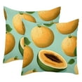 Cantaloupe Fruit Pack of 2 Pillow Covers 18x18 Inch, Farmhouse Throw