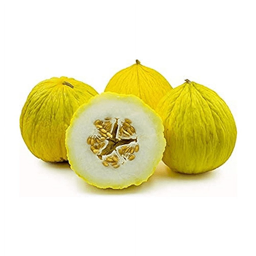 Cantaloupe Melon Casaba Golden Beauty Great Heirloom Vegetable by Seed