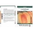 thumbnail image 1 of Cantaloupe Melon Garden Seeds - Athena Hybrid - 7 Seeds Packet - Non-GMO, Vegetable Gardening Seeds - Fruit, 1 of 2