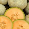 thumbnail image 1 of Cantaloupe Melon Garden Seeds - Edisto 47 - Non-GMO, Heirloom, Vegetable, Fruit, 1 of 2