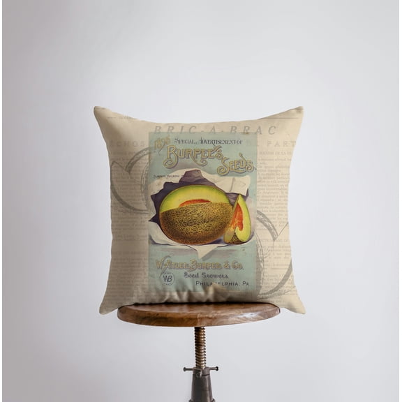 Cantaloupe | Pillow Cover | Vegan | Vegan Gift | Farmhouse Decor | Home Decor | Throw Pillow | Pillow | Accent Pillow Covers | Country Decor