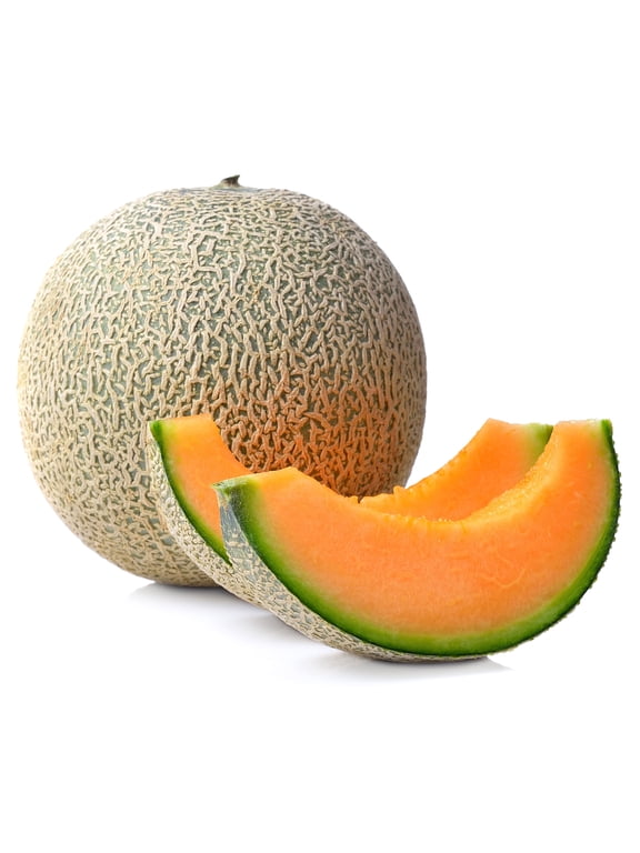 Fresh Cantaloupe, Each