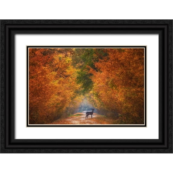 Cantemir, Mandru 14x11 Black Ornate Wood Framed with Double Matting Museum Art Print Titled - Autumn Fantasy