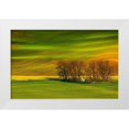 thumbnail image 1 of Cantemir, Mandru 24x17 White Modern Wood Framed Museum Art Print Titled - A Colorful Day, 1 of 4