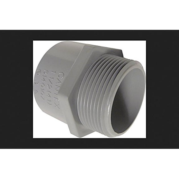 Cantex 5140106C 1.25 in. PVC Male Terminal Adapter