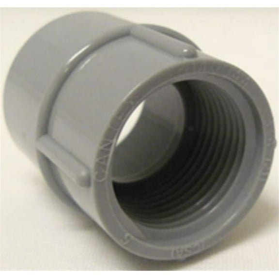 Cantex Industries 26974097 5140043C 0.5 in. PVC Schedule 40 Female Adapters