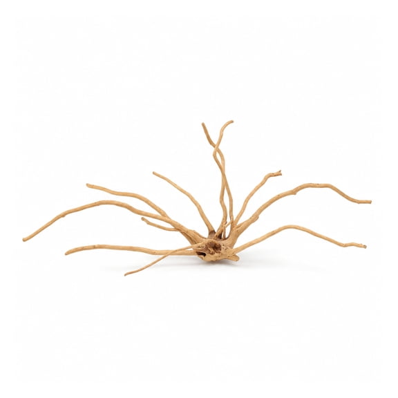 Canton Aquatics Spider Wood Aquarium Driftwood Decor, Small 6-10 Inches, 1 Piece