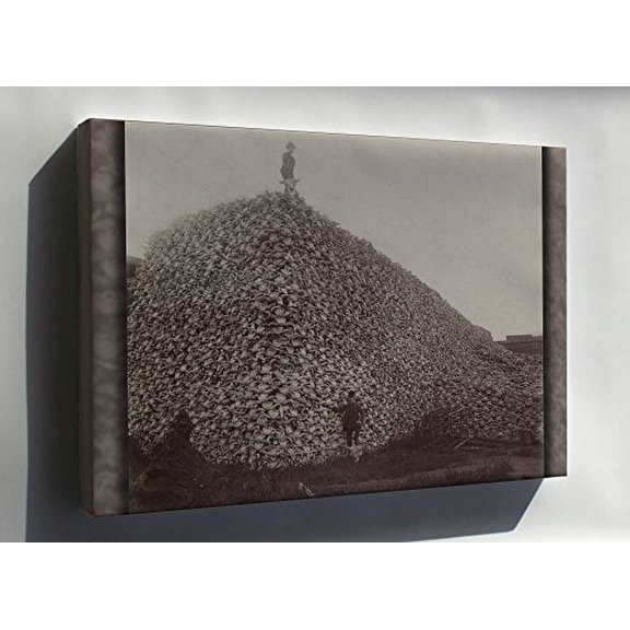 Canvas 16x24; American Buffalo Bison Skull Pile Mid 1870S
