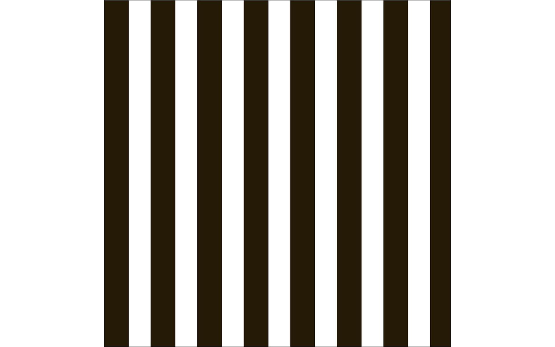 Canvas Corp Paper 12x12 Black White Big Stripe (15 sheets)
