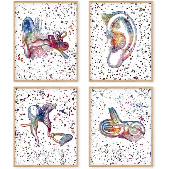 Canvas Ear Poster Wall Art Audiologist Gifts,Ear Anatomy Posters Cross Section Clinic Hearing Office Decor Great Gift for Audiologist,8x10 Inch Unframed