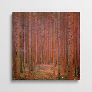 Canvas Gallery Wrap - Fir Forest I