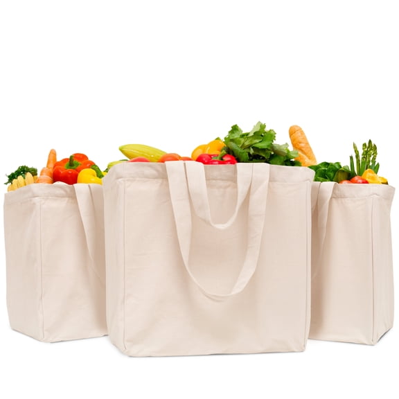 Canvas Grocery Tote with Drawstring