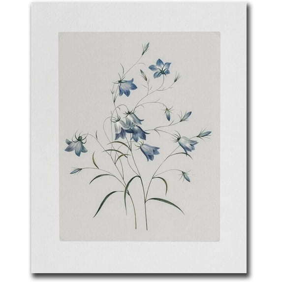 Canvas Painting Wall Mural Print Blue Botanical Vintage Flower Paintings Floral Indigo Minimal Art Bedroom and Kitchen Office Wall Decoration 12x18inch without Frame